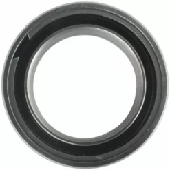 Enduro Bearings ABEC5 61803 SRS Bearing