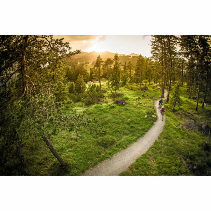 Ergon SMC Women's Sport Gel Saddle 6 Ergon SMC Women's Sport Gel Saddle - Billede 6